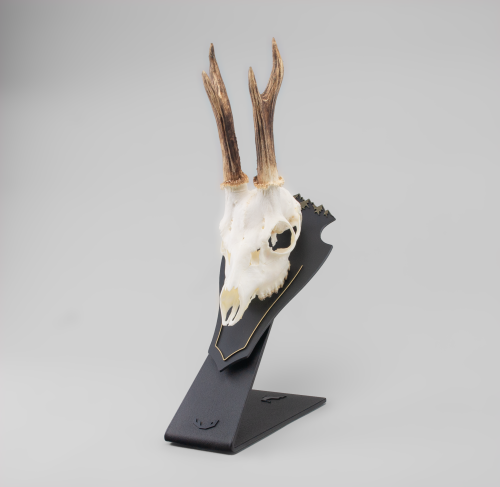 Stojak pod poroże rogacza/haki kozicy + płyta P2