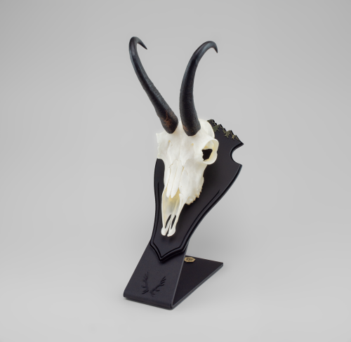 Stojak pod haki kozicy + płyta P3