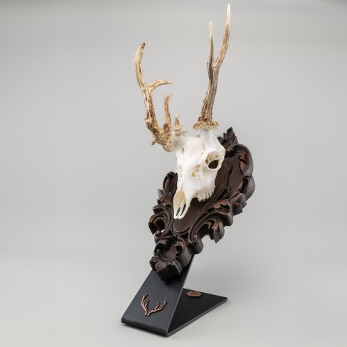 Stojak pod poroże rogacza/haki kozicy + deska R1