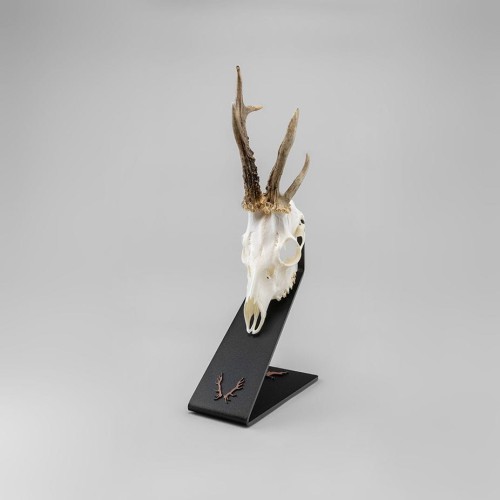 Stojak pod poroże rogacza M2