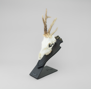 Stojak pod poroże rogacza/haki kozicy + płyta P3